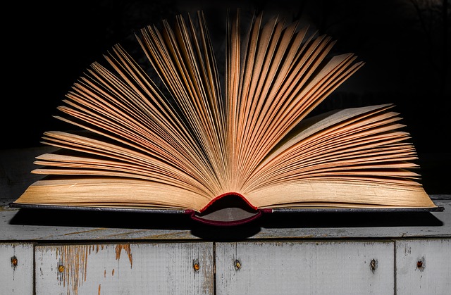 literature-3288098_640