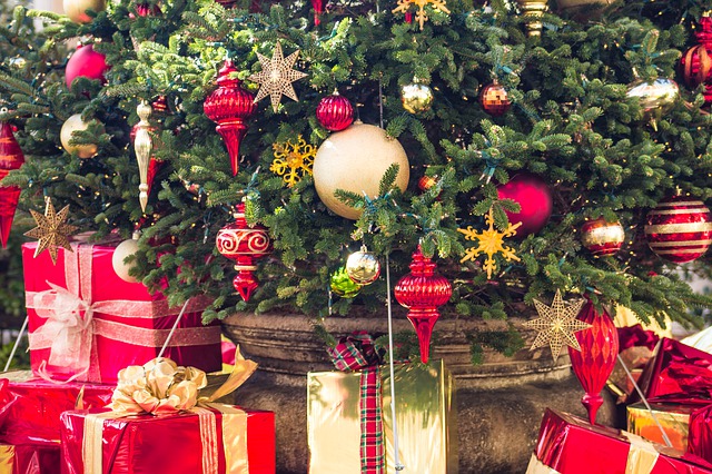 christmas-holiday-4711779_640