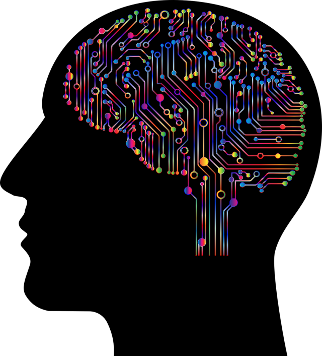 brain-ga7eba4a22_1280