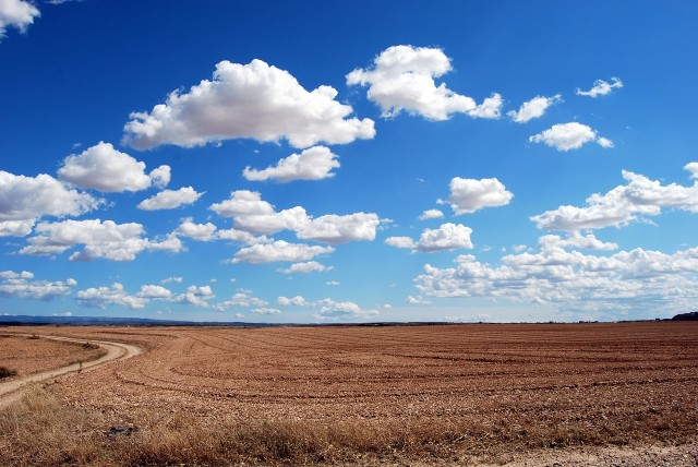 field-gfdf2a8d07_1280