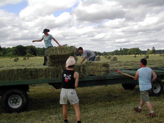 agriculture-91149_1280