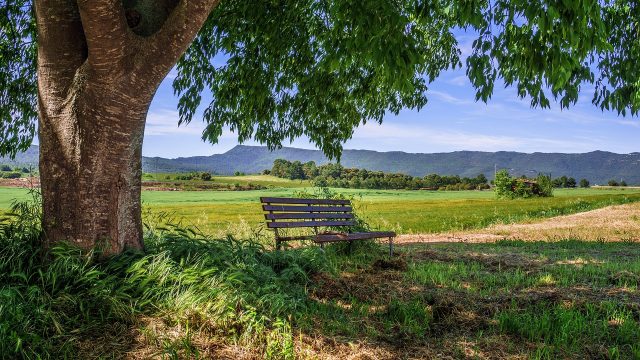 rural-area-3432088_1280