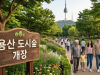 도심 속 거대한 초록빛 숨통: ‘용산 도시숲’ 개장